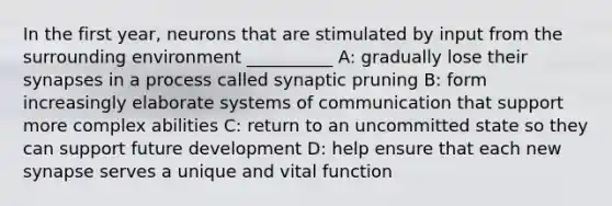 In the first year, neurons that are stimulated by input from the surrounding environment __________ A: gradually lose their synapses in a process called synaptic pruning B: form increasingly elaborate systems of communication that support more complex abilities C: return to an uncommitted state so they can support future development D: help ensure that each new synapse serves a unique and vital function