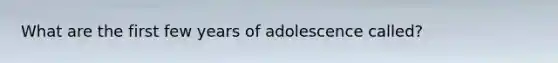 What are the first few years of adolescence called?