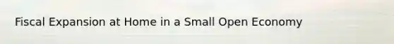 Fiscal Expansion at Home in a Small Open Economy