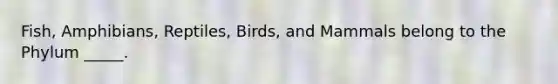 Fish, Amphibians, Reptiles, Birds, and Mammals belong to the Phylum _____.