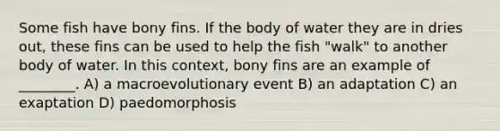 Some fish have bony fins. If the body of water they are in dries out, these fins can be used to help the fish "walk" to another body of water. In this context, bony fins are an example of ________. A) a macroevolutionary event B) an adaptation C) an exaptation D) paedomorphosis