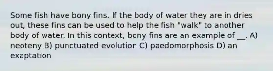 Some fish have bony fins. If the body of water they are in dries out, these fins can be used to help the fish "walk" to another body of water. In this context, bony fins are an example of __. A) neoteny B) punctuated evolution C) paedomorphosis D) an exaptation