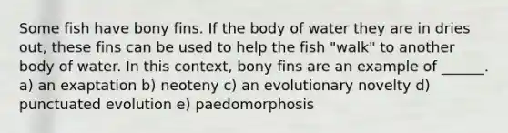 Some fish have bony fins. If the body of water they are in dries out, these fins can be used to help the fish "walk" to another body of water. In this context, bony fins are an example of ______. a) an exaptation b) neoteny c) an evolutionary novelty d) punctuated evolution e) paedomorphosis