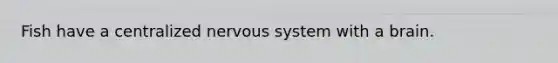 Fish have a centralized nervous system with a brain.