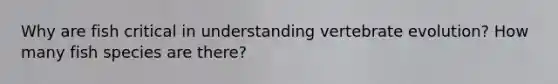 Why are fish critical in understanding vertebrate evolution? How many fish species are there?