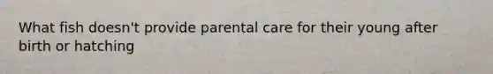 What fish doesn't provide parental care for their young after birth or hatching