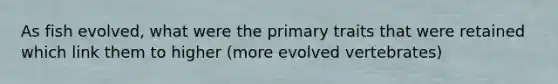 As fish evolved, what were the primary traits that were retained which link them to higher (more evolved vertebrates)