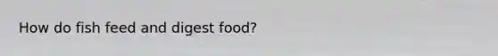 How do fish feed and digest food?