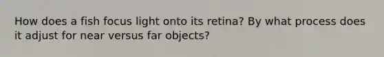 How does a fish focus light onto its retina? By what process does it adjust for near versus far objects?