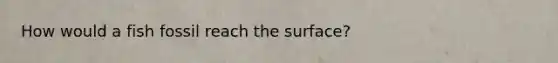 How would a fish fossil reach the surface?