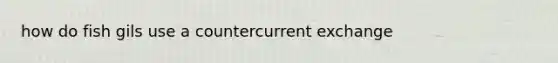 how do fish gils use a countercurrent exchange