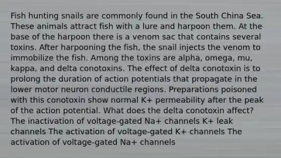 Fish hunting snails are commonly found in the South China Sea. These animals attract fish with a lure and harpoon them. At the base of the harpoon there is a venom sac that contains several toxins. After harpooning the fish, the snail injects the venom to immobilize the fish. Among the toxins are alpha, omega, mu, kappa, and delta conotoxins. The effect of delta conotoxin is to prolong the duration of action potentials that propagate in the lower motor neuron conductile regions. Preparations poisoned with this conotoxin show normal K+ permeability after the peak of the action potential. What does the delta conotoxin affect? The inactivation of voltage-gated Na+ channels K+ leak channels The activation of voltage-gated K+ channels The activation of voltage-gated Na+ channels