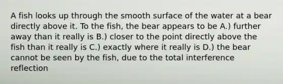 A fish looks up through the smooth surface of the water at a bear directly above it. To the fish, the bear appears to be A.) further away than it really is B.) closer to the point directly above the fish than it really is C.) exactly where it really is D.) the bear cannot be seen by the fish, due to the total interference reflection