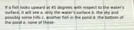 If a fish looks upward at 45 degrees with respect to the water's surface, it will see a. only the water's surface b. the sky and possibly some hills c. another fish in the pond d. the bottom of the pond e. none of these