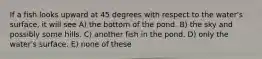 If a fish looks upward at 45 degrees with respect to the water's surface, it will see A) the bottom of the pond. B) the sky and possibly some hills. C) another fish in the pond. D) only the water's surface. E) none of these