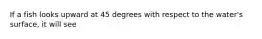 If a fish looks upward at 45 degrees with respect to the water's surface, it will see