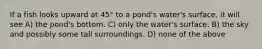 If a fish looks upward at 45° to a pond's water's surface, it will see A) the pond's bottom. C) only the water's surface. B) the sky and possibly some tall surroundings. D) none of the above