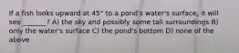 If a fish looks upward at 45° to a pond's water's surface, it will see _______? A) the sky and possibly some tall surroundings B) only the water's surface C) the pond's bottom D) none of the above