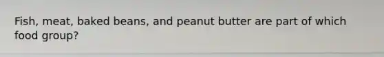 Fish, meat, baked beans, and peanut butter are part of which food group?