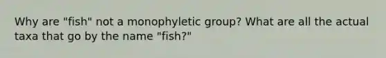 Why are "fish" not a monophyletic group? What are all the actual taxa that go by the name "fish?"