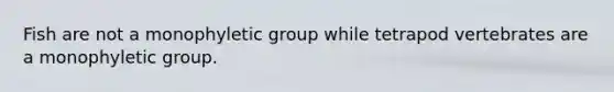 Fish are not a monophyletic group while tetrapod vertebrates are a monophyletic group.