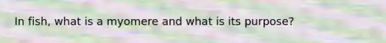 In fish, what is a myomere and what is its purpose?
