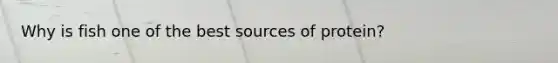 Why is fish one of the best sources of protein?