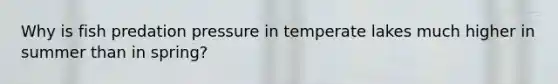 Why is fish predation pressure in temperate lakes much higher in summer than in spring?