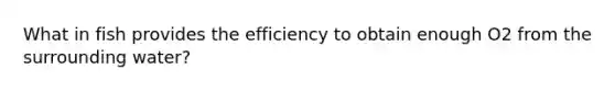 What in fish provides the efficiency to obtain enough O2 from the surrounding water?