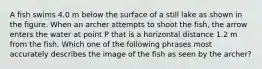 A fish swims 4.0 m below the surface of a still lake as shown in the figure. When an archer attempts to shoot the fish, the arrow enters the water at point P that is a horizontal distance 1.2 m from the fish. Which one of the following phrases most accurately describes the image of the fish as seen by the archer?