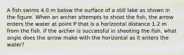 A fish swims 4.0 m below the surface of a still lake as shown in the figure. When an archer attempts to shoot the fish, the arrow enters the water at point P that is a horizontal distance 1.2 m from the fish. If the archer is successful in shooting the fish, what angle does the arrow make with the horizontal as it enters the water?