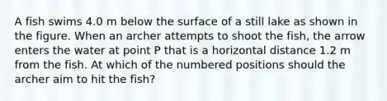 A fish swims 4.0 m below the surface of a still lake as shown in the figure. When an archer attempts to shoot the fish, the arrow enters the water at point P that is a horizontal distance 1.2 m from the fish. At which of the numbered positions should the archer aim to hit the fish?