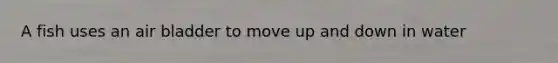 A fish uses an air bladder to move up and down in water