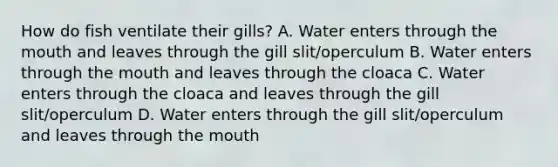 How do fish ventilate their gills? A. Water enters through the mouth and leaves through the gill slit/operculum B. Water enters through the mouth and leaves through the cloaca C. Water enters through the cloaca and leaves through the gill slit/operculum D. Water enters through the gill slit/operculum and leaves through the mouth