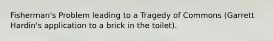 Fisherman's Problem leading to a Tragedy of Commons (Garrett Hardin's application to a brick in the toilet).