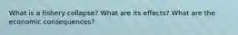 What is a fishery collapse? What are its effects? What are the economic consequences?