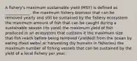 A fishery's maximum sustainable yield (MSY) is defined as _____________. the maximum fishery biomass that can be removed yearly and still be sustained by the fishery ecosystem the maximum amount of fish that can be caught during a sustainable season (its yield) the maximum yield of fish produced in an ecosystem that sustains it the maximum size that fish reach before being removed (yielded) from the ocean by eating (food webs) or harvesting (by humans in fisheries) the maximum number of fishing vessels that can be sustained by the yield of a local fishery per year.