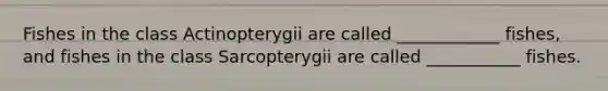 Fishes in the class Actinopterygii are called ____________ fishes, and fishes in the class Sarcopterygii are called ___________ fishes.