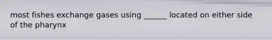 most fishes exchange gases using ______ located on either side of <a href='https://www.questionai.com/knowledge/ktW97n6hGJ-the-pharynx' class='anchor-knowledge'>the pharynx</a>