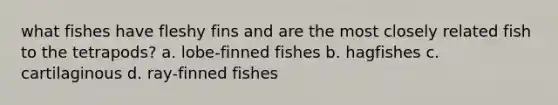 what fishes have fleshy fins and are the most closely related fish to the tetrapods? a. lobe-finned fishes b. hagfishes c. cartilaginous d. ray-finned fishes