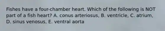 Fishes have a four-chamber heart. Which of the following is NOT part of a fish heart? A. conus arteriosus, B. ventricle, C. atrium, D. sinus venosus, E. ventral aorta