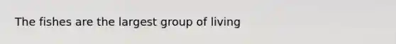 The fishes are the largest group of living