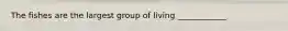The fishes are the largest group of living ____________