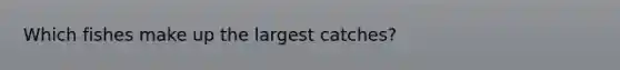 Which fishes make up the largest catches?