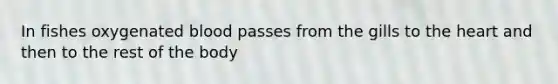 In fishes oxygenated blood passes from the gills to <a href='https://www.questionai.com/knowledge/kya8ocqc6o-the-heart' class='anchor-knowledge'>the heart</a> and then to the rest of the body