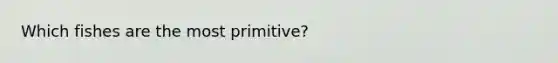 Which fishes are the most primitive?