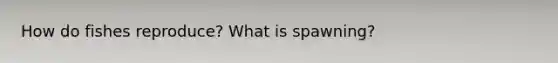 How do fishes reproduce? What is spawning?