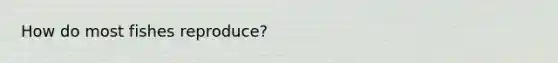 How do most fishes reproduce?