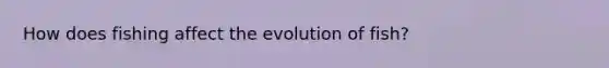 How does fishing affect the evolution of fish?