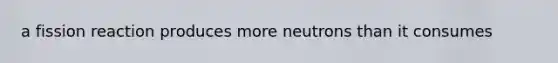 a fission reaction produces more neutrons than it consumes